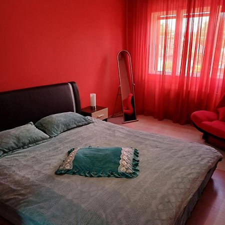 Apartament Cu Terasa La Casa Tina ティミショアラ 部屋 写真