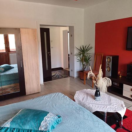 Apartament Cu Terasa La Casa Tina ティミショアラ エクステリア 写真