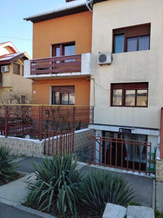 Apartament Cu Terasa La Casa Tina ティミショアラ エクステリア 写真