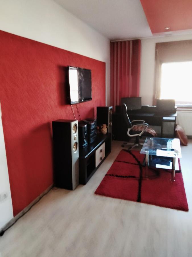 Apartament Cu Terasa La Casa Tina ティミショアラ エクステリア 写真