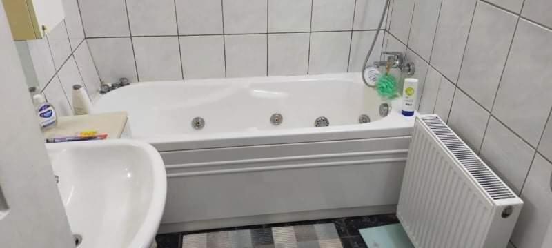 Apartament Cu Terasa La Casa Tina ティミショアラ エクステリア 写真