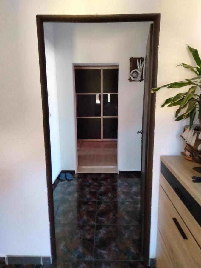 Apartament Cu Terasa La Casa Tina ティミショアラ エクステリア 写真
