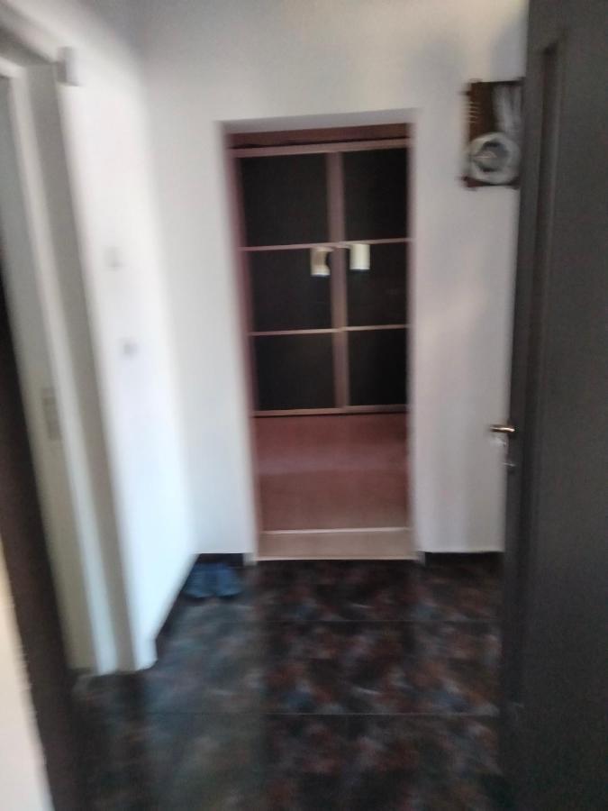 Apartament Cu Terasa La Casa Tina ティミショアラ エクステリア 写真