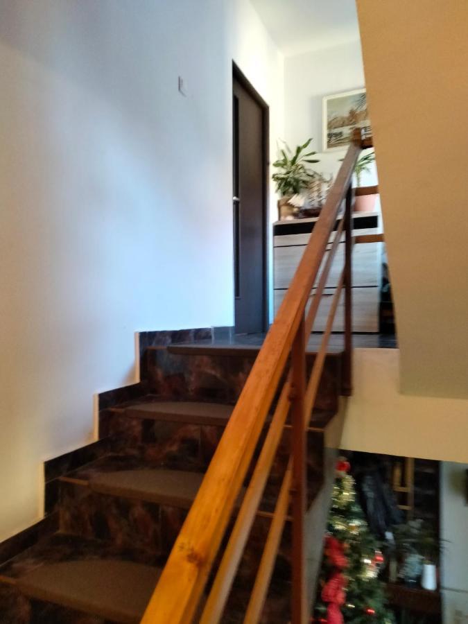 Apartament Cu Terasa La Casa Tina ティミショアラ エクステリア 写真