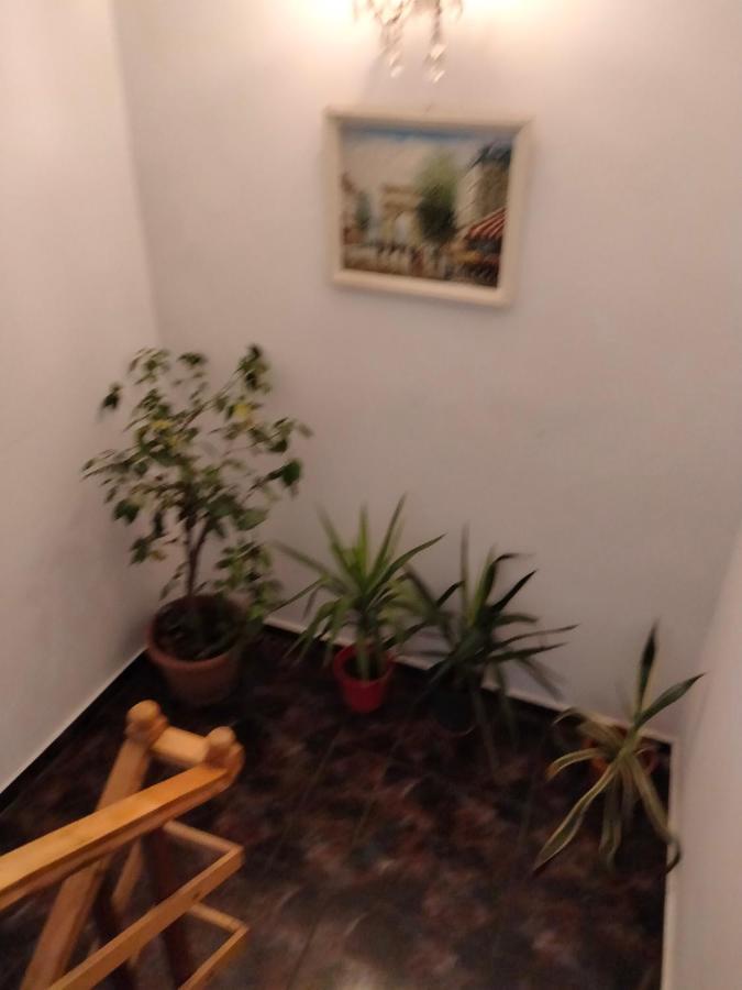 Apartament Cu Terasa La Casa Tina ティミショアラ エクステリア 写真
