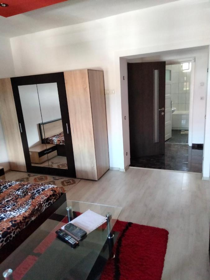 Apartament Cu Terasa La Casa Tina ティミショアラ エクステリア 写真