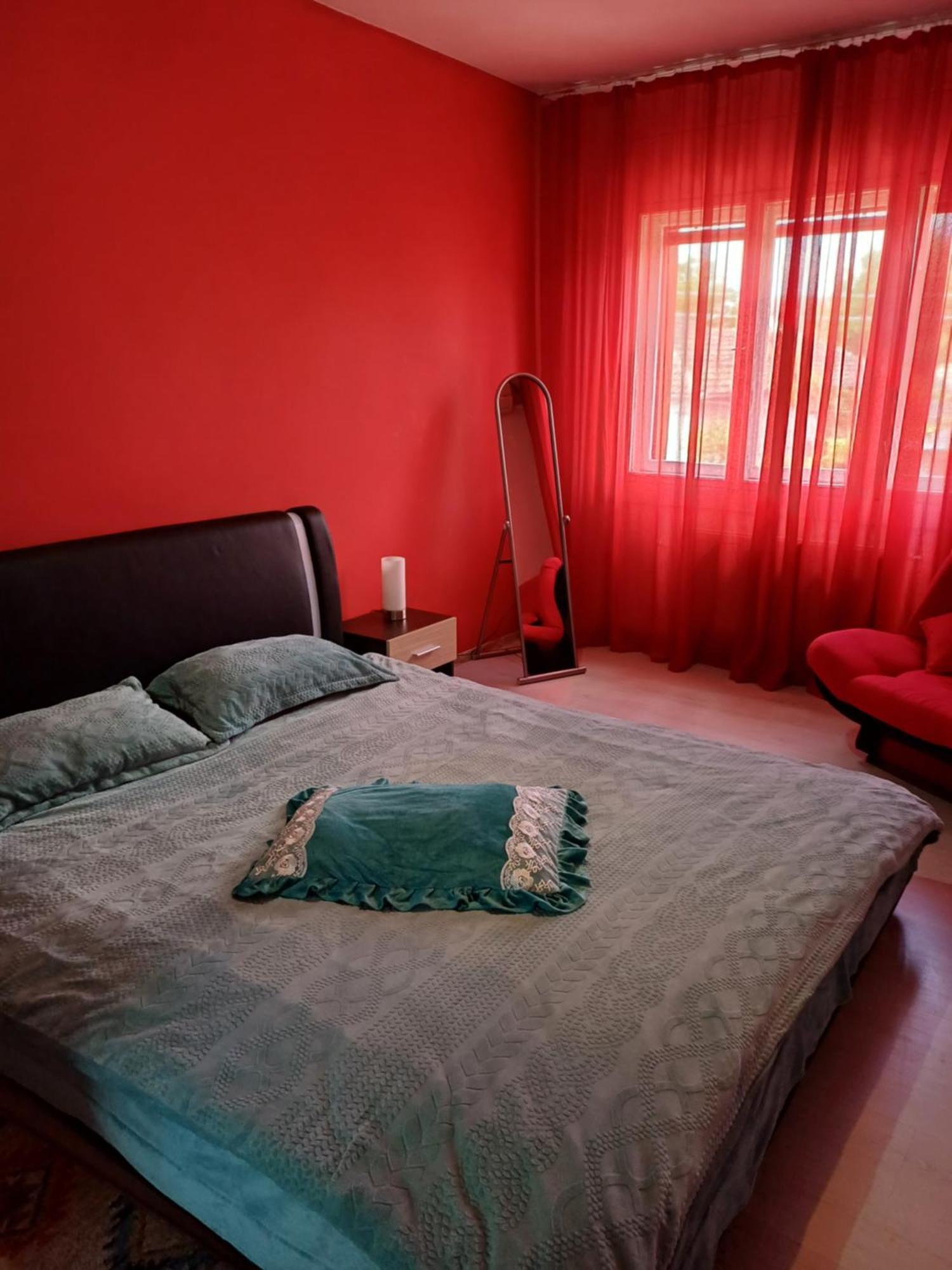 Apartament Cu Terasa La Casa Tina ティミショアラ 部屋 写真