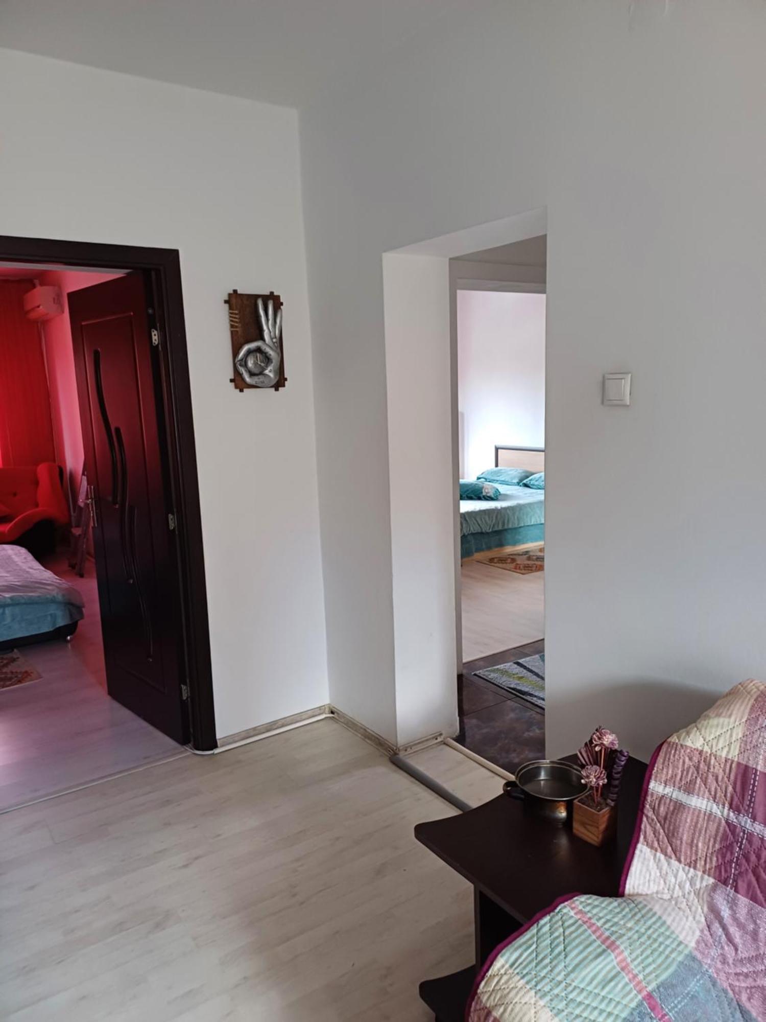 Apartament Cu Terasa La Casa Tina ティミショアラ エクステリア 写真