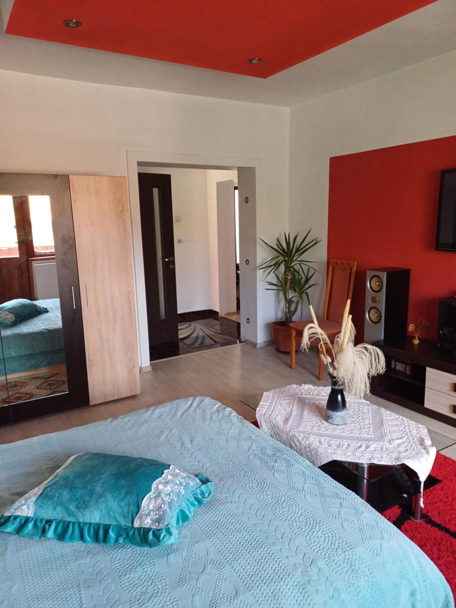 Apartament Cu Terasa La Casa Tina ティミショアラ エクステリア 写真